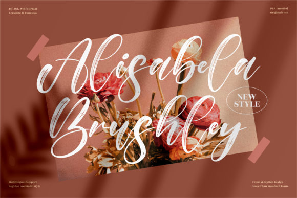 Alisabela Brushley: A Designer's Guide to This Elegant Script