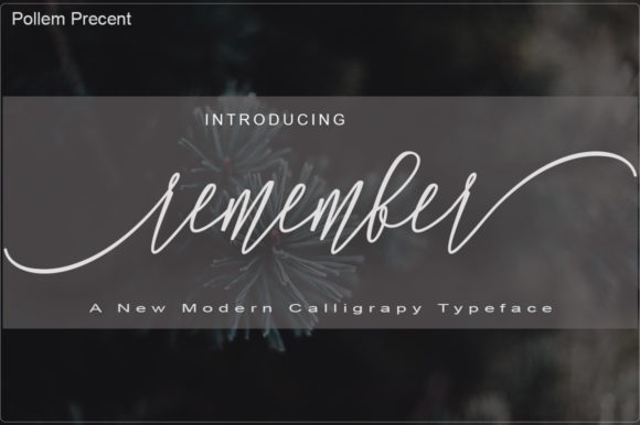 Awaken Artistic Vibes with the Remember Calligraphic Script
