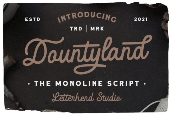 Dountyland: Capturing Vintage Charm in Modern Design