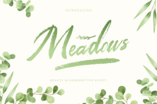 Meadows: A Sweet, Classic Script for Creative Projects